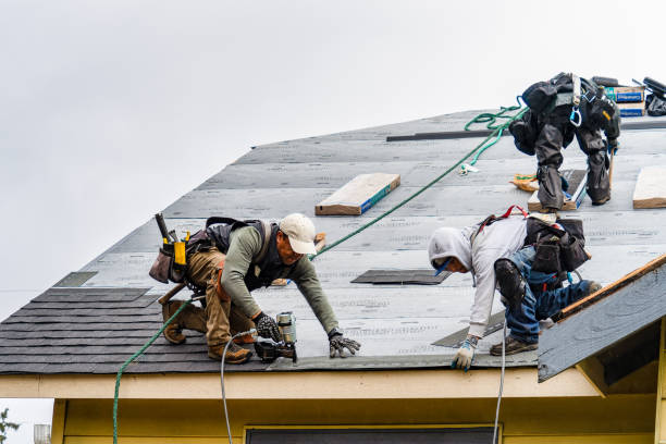 Professional Storm Damage Roof Repair technician working in Burtrum, MN